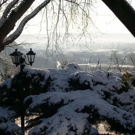 לינה וארוחת בוקר Four Winds 3*